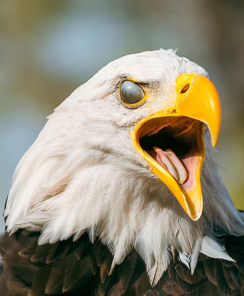 Photograph by Hicham Chraibi