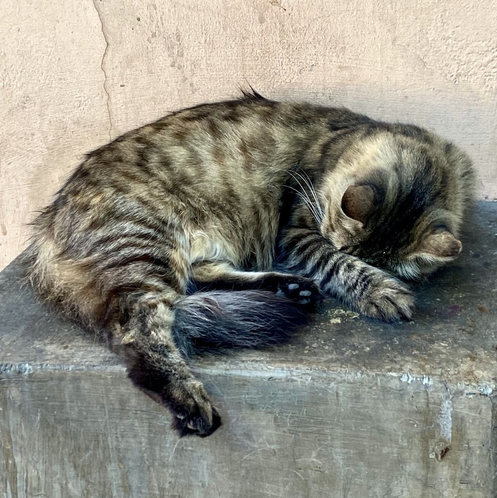 Photograph by Фарида Абакарова