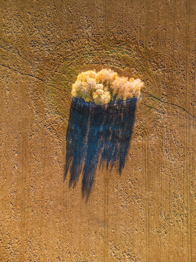 Photograph by Наталия Полякова