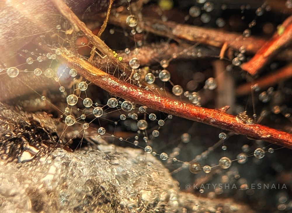 Photograph by Екатерина Колот