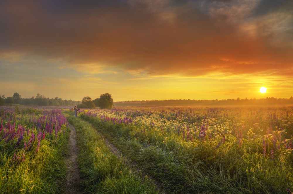 Photograph by Гордеев Эдуард