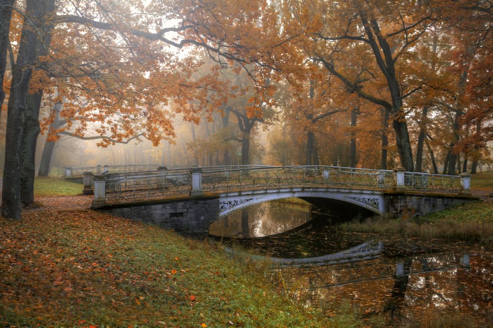 Photograph by Гордеев Эдуард