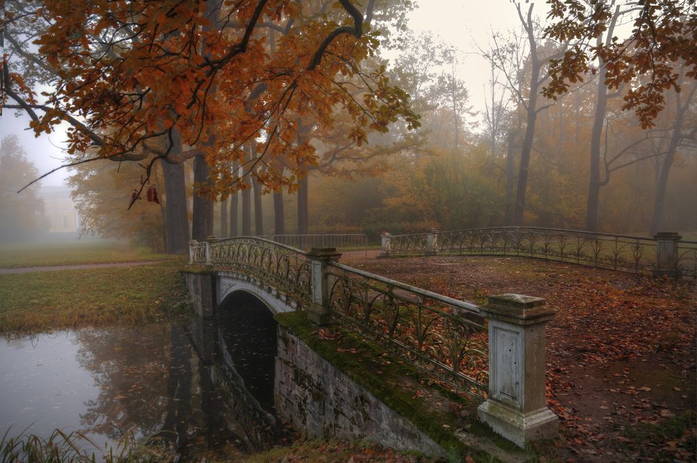 Photograph by Гордеев Эдуард