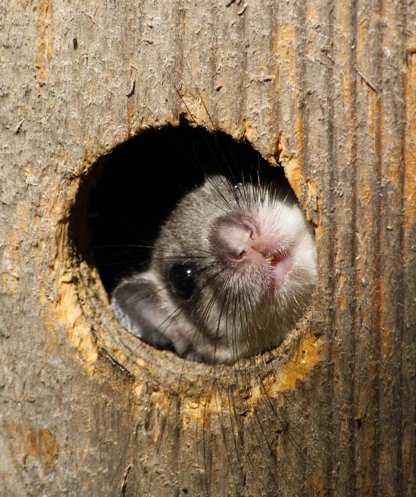 Фотография автора Татьяна Шебаршенко