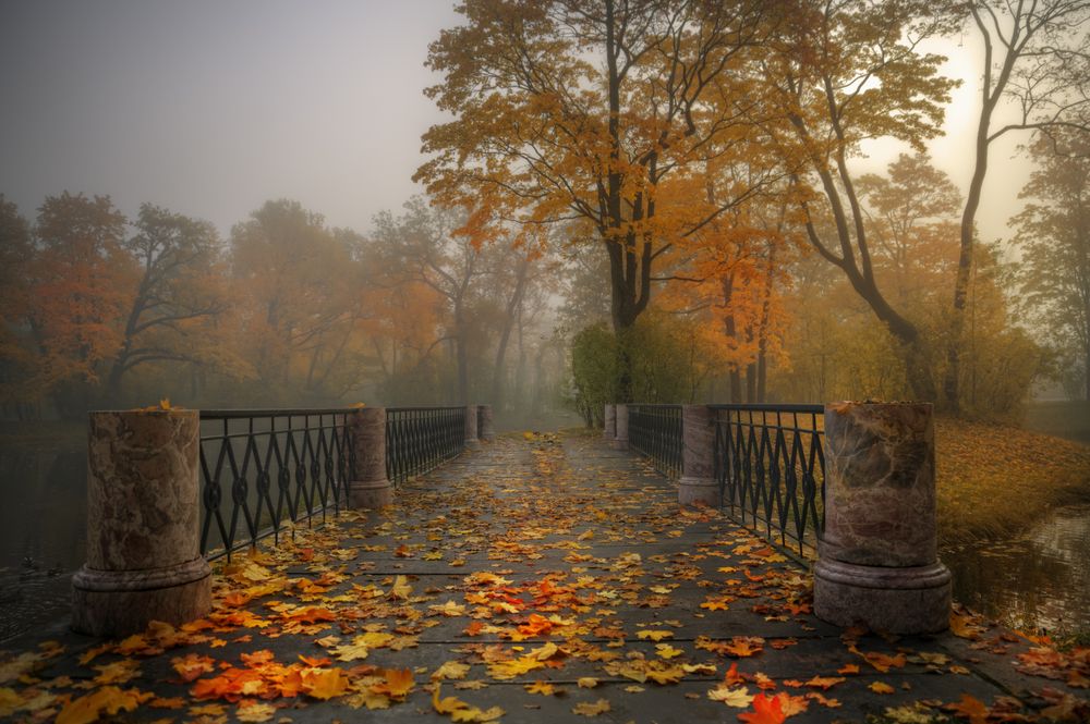 Photograph by Гордеев Эдуард