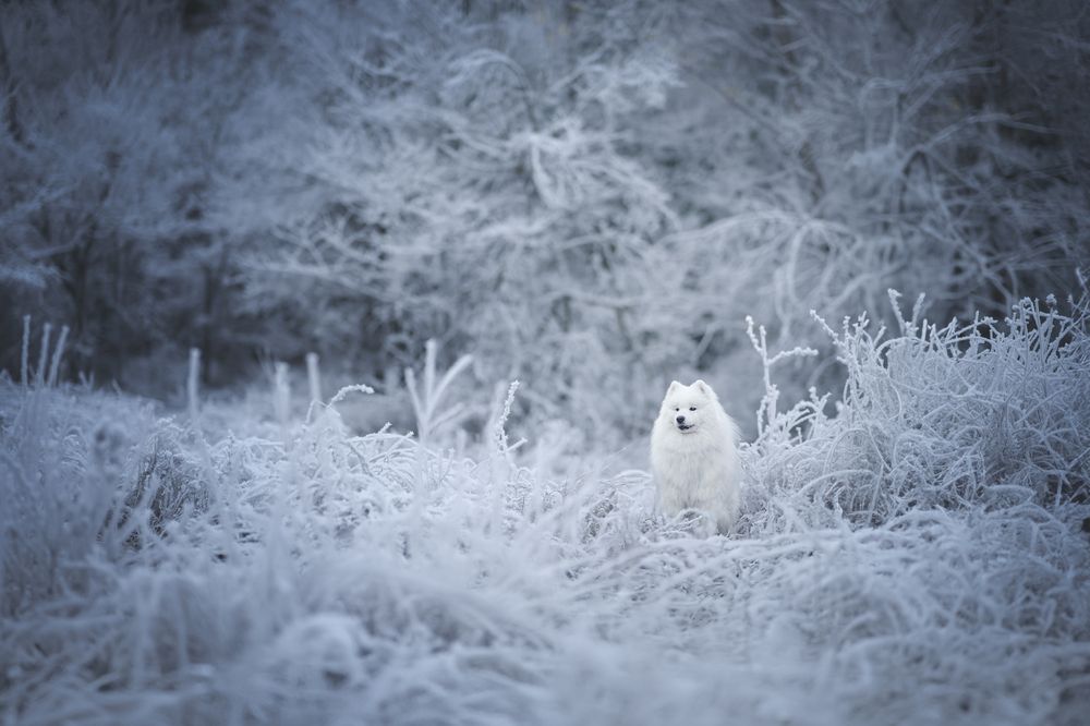 Фотография автора Rut Casanellas