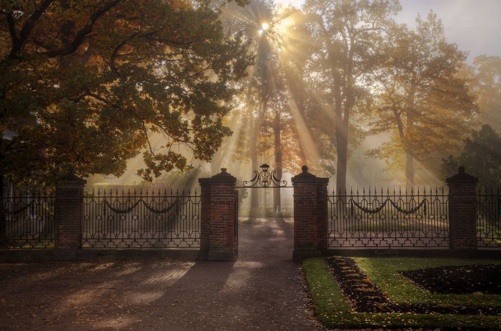 Photograph by Гордеев Эдуард