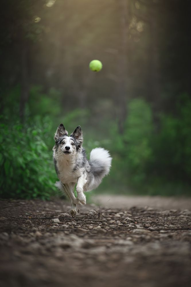 Фотография автора Rut Casanellas