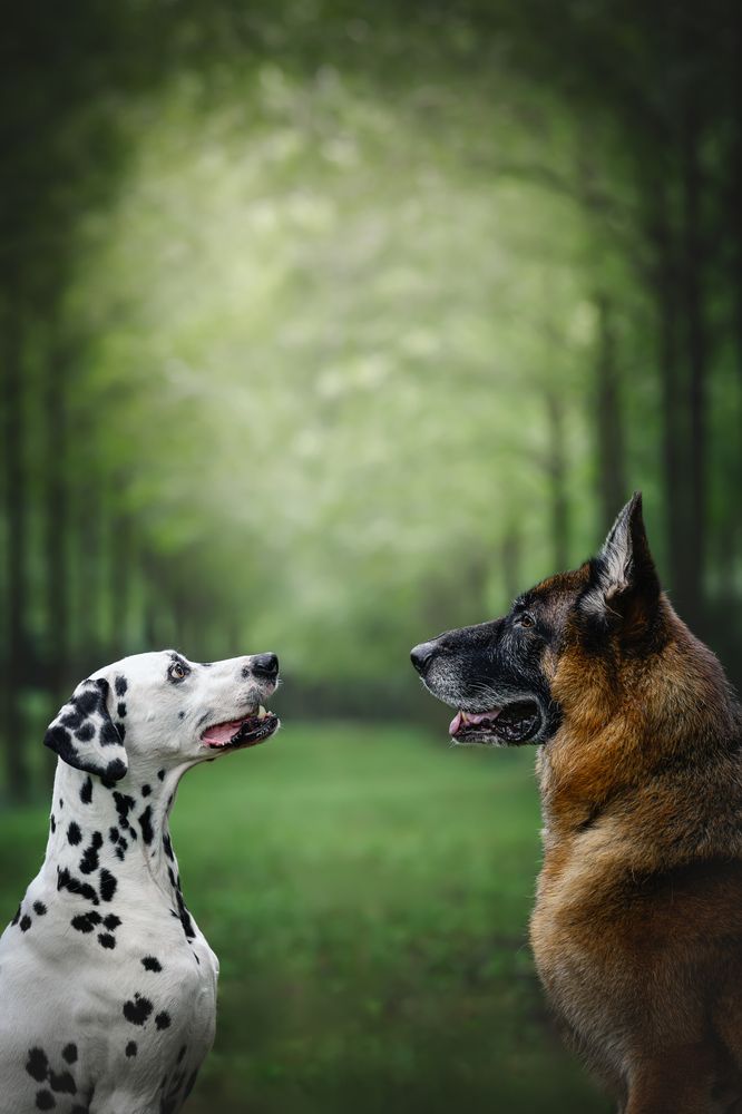 Фотография автора Rut Casanellas