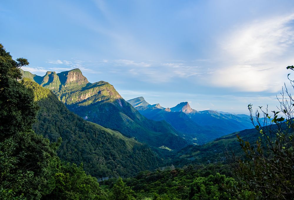 Photograph by SAMAN HALLOLUWA