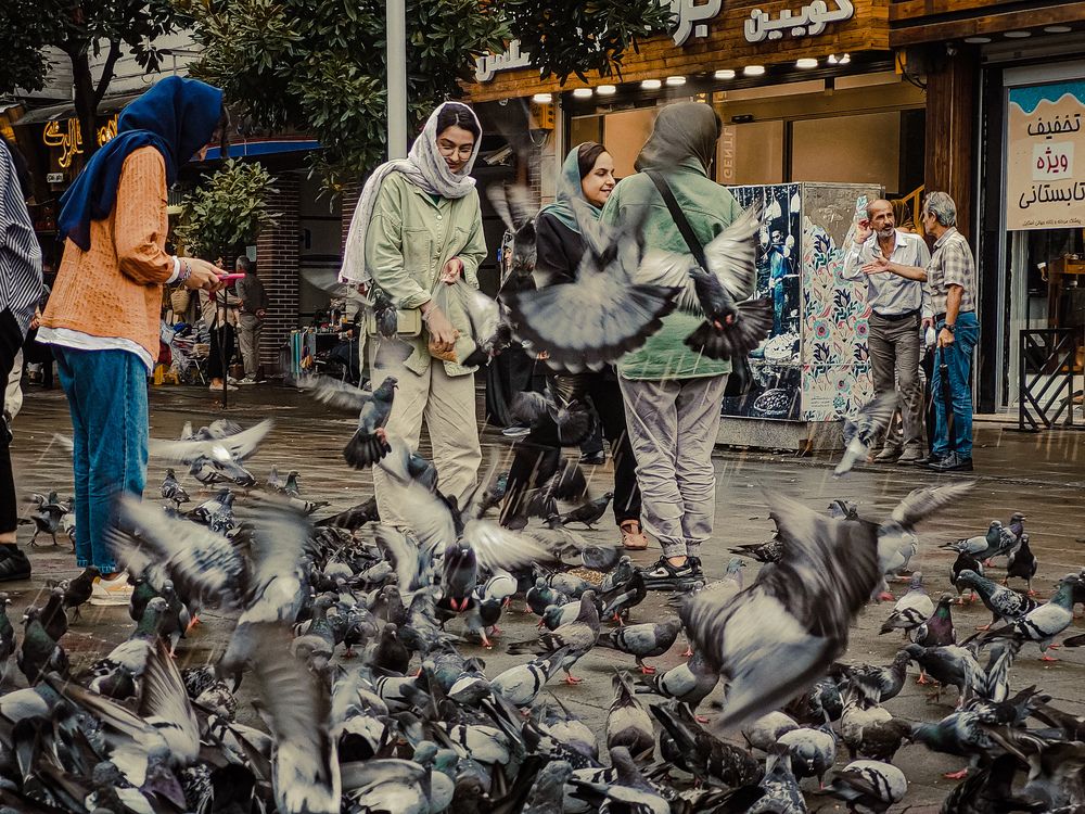 Photograph by shima yousef zade