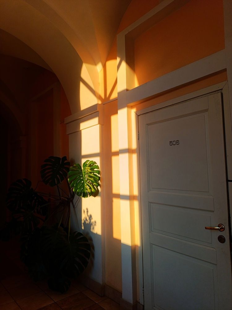 Фотография автора Роман Савин