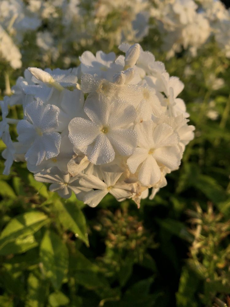 Photograph by Valentina Jegorova