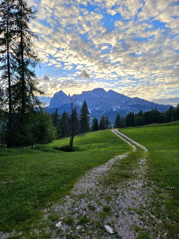 Фотография автора Elena Polonetskaya