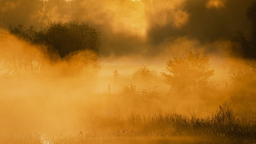 Фотография автора Александр Довганюк