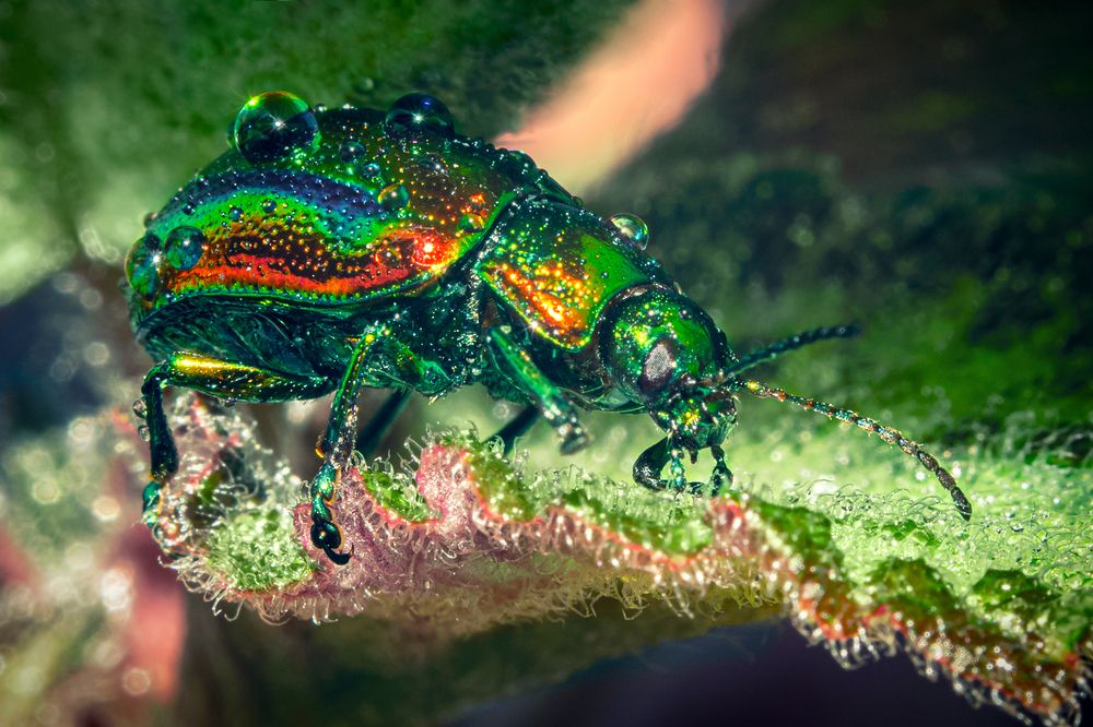 Photograph by Дмитрий Огольцов