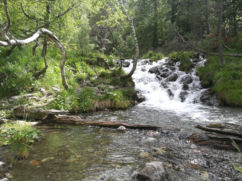 Photograph by владимир