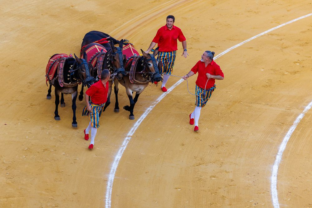 Photograph by Hicham Chraibi