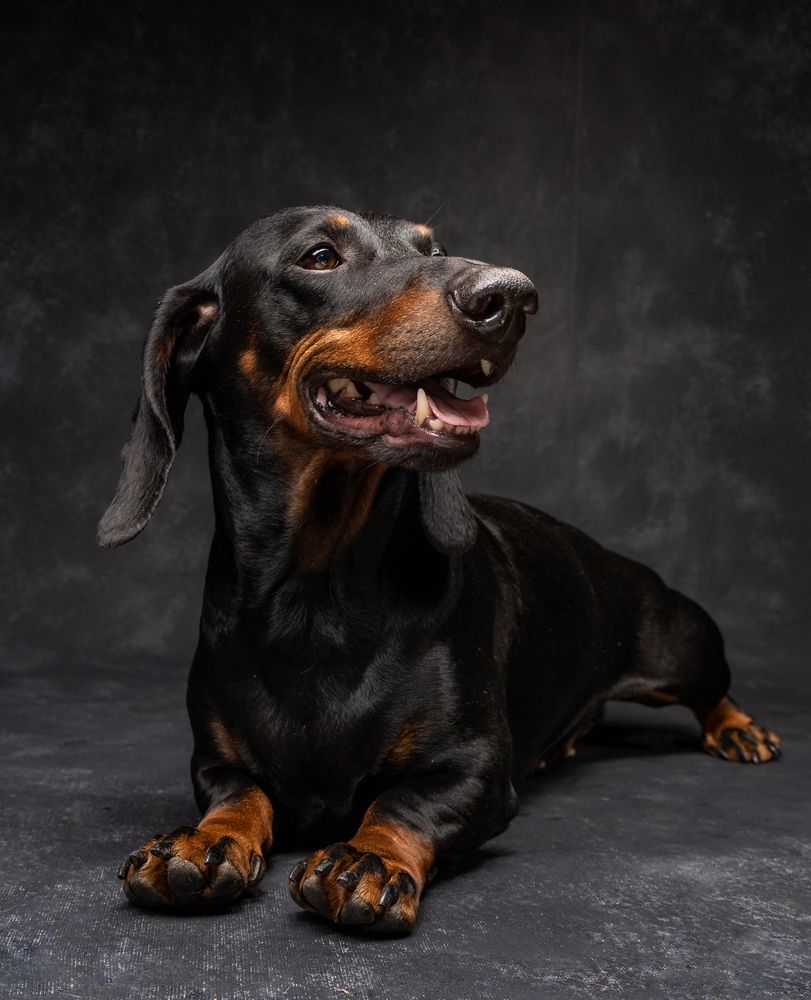 Фотография автора Маори Мурр