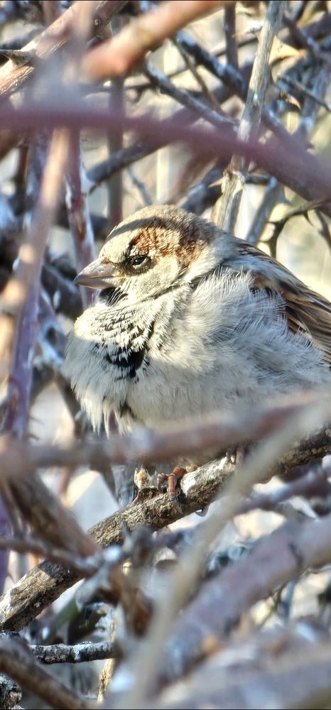 Photograph by Елизавета Лемешко
