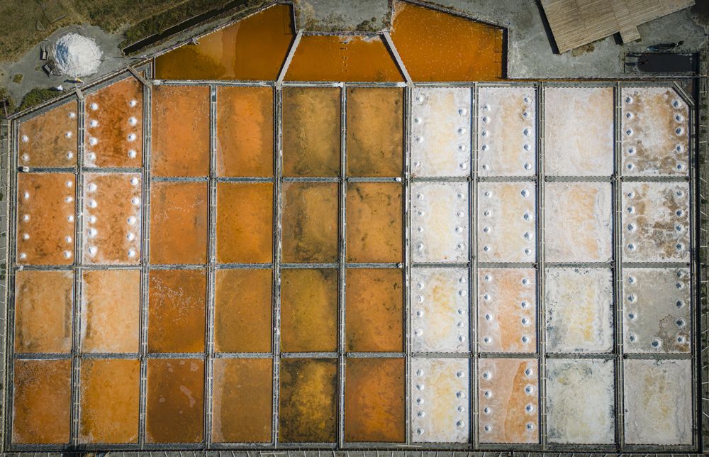 Photograph by Stoyo Stoev