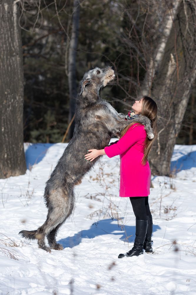 Фотография автора Елена Баврина