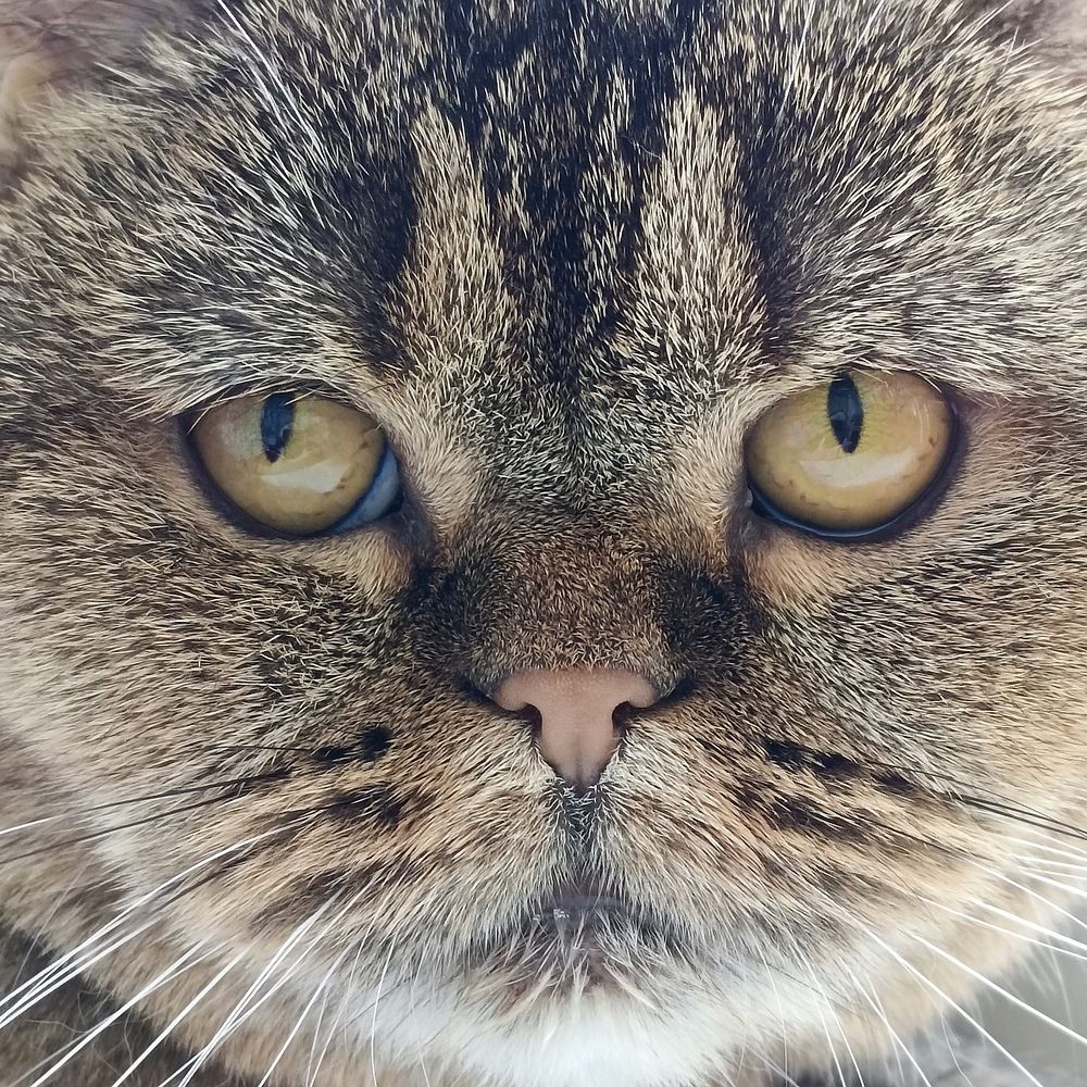 Photograph by Ирина Шведчикова