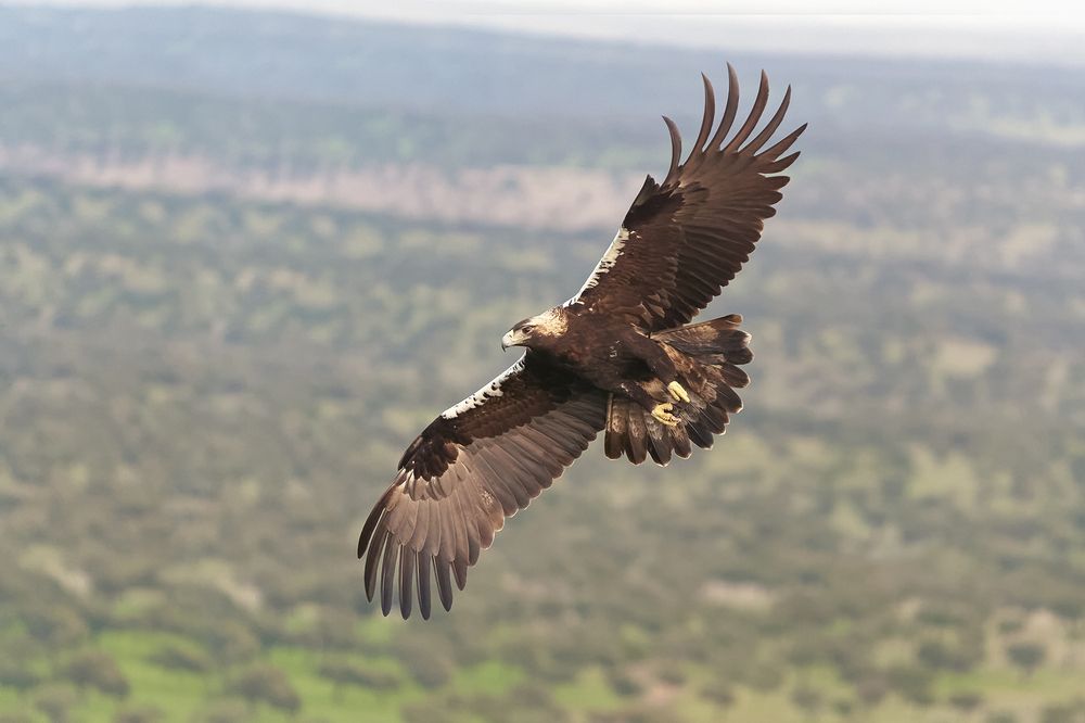 Photograph by Oscar Suarez