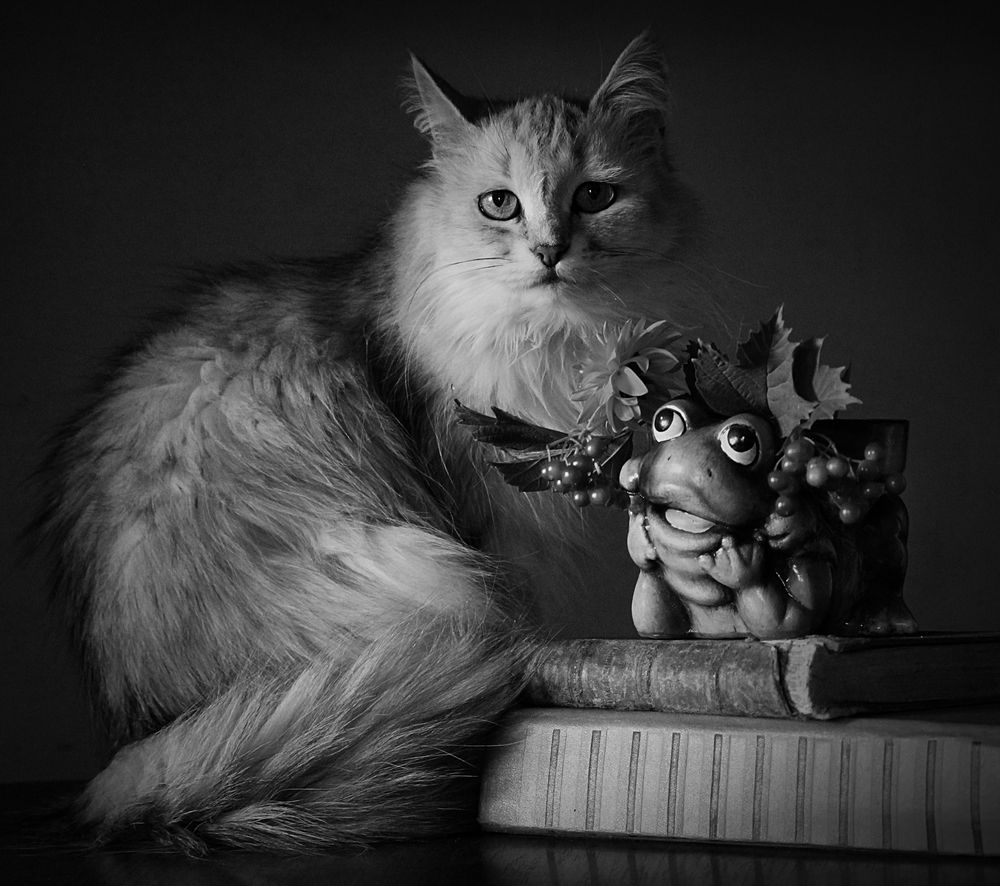 Photograph by Зоя Быкова