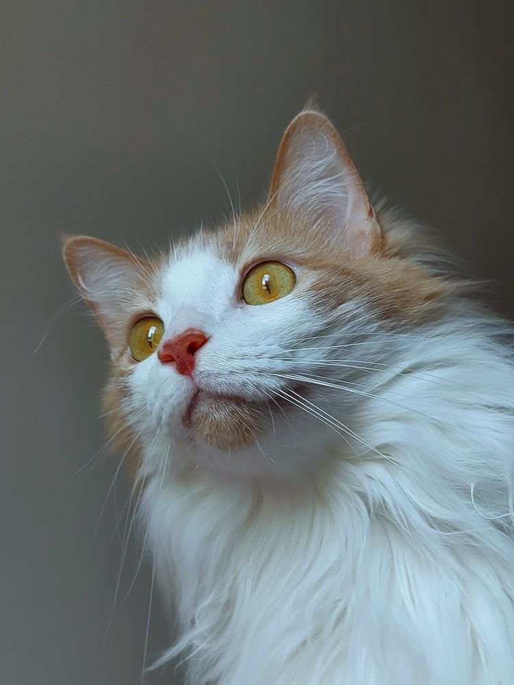 Photograph by Maria da Conceição Queiroz