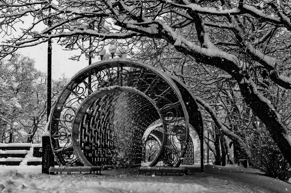 Photograph by Юлия Хобта