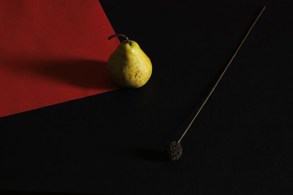 Фотография автора Refat Mamutov