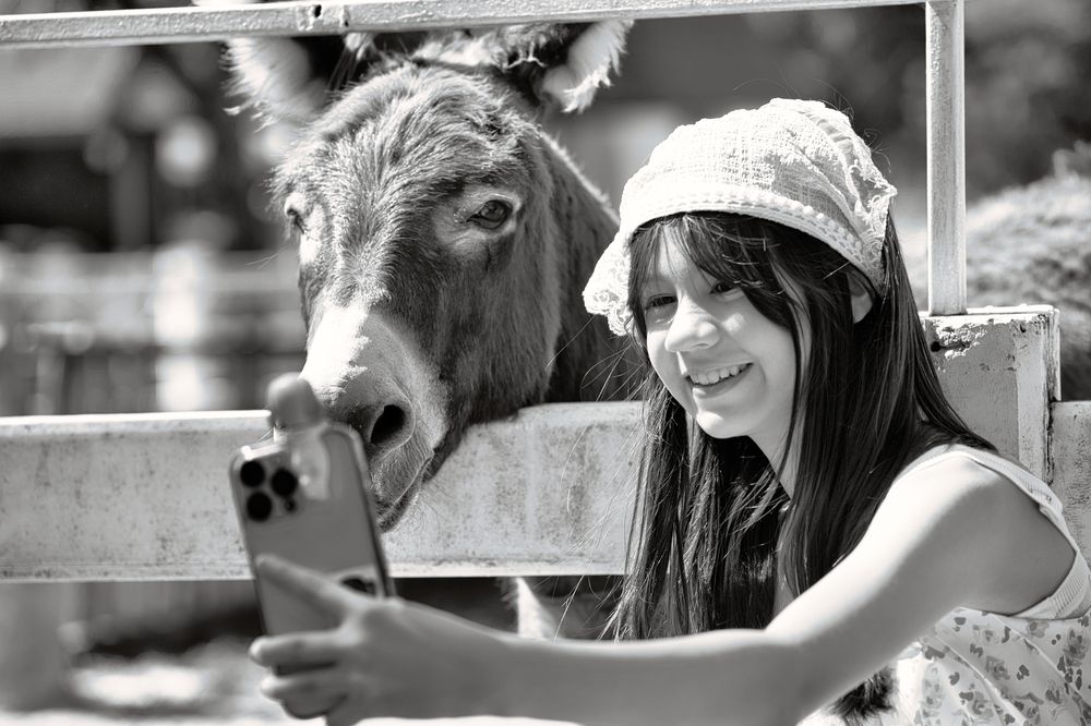 Photograph by Hani Nakib