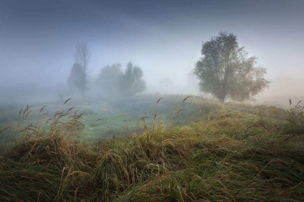 Утро в начале осени