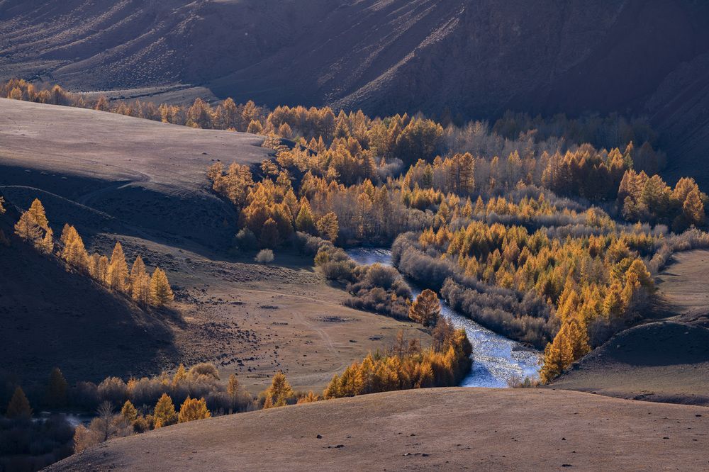 Фотография автора Галина Дейнекина