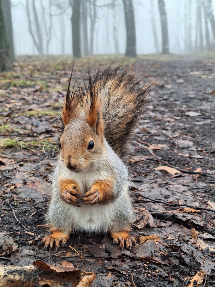 Photograph by Ирина