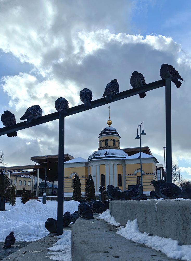 Photograph by Елена Алексеева