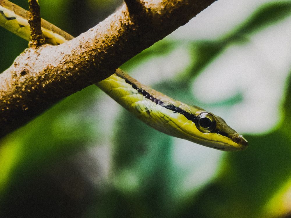 Photograph by Pawan Guruge