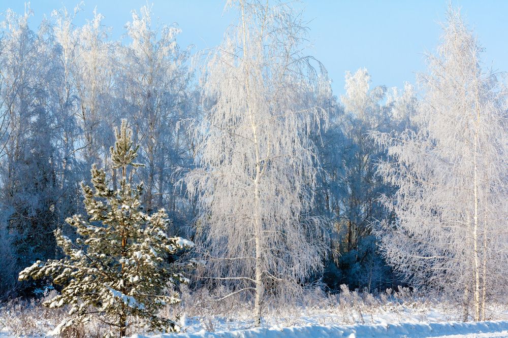 Photograph by Grigoriy