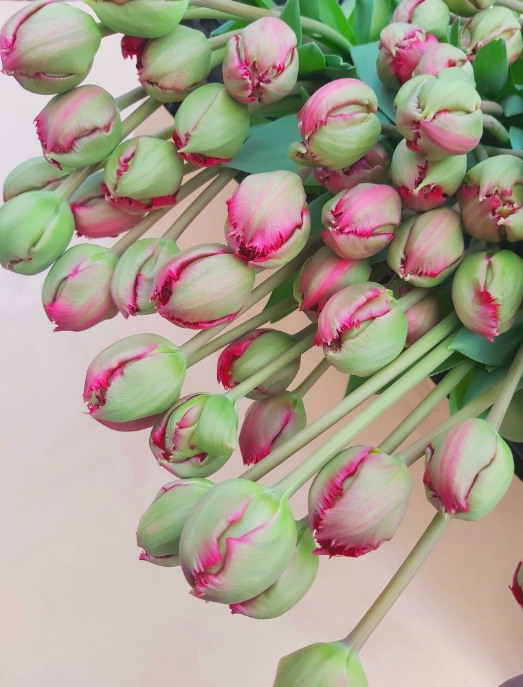 Photograph by Олег Лебедев