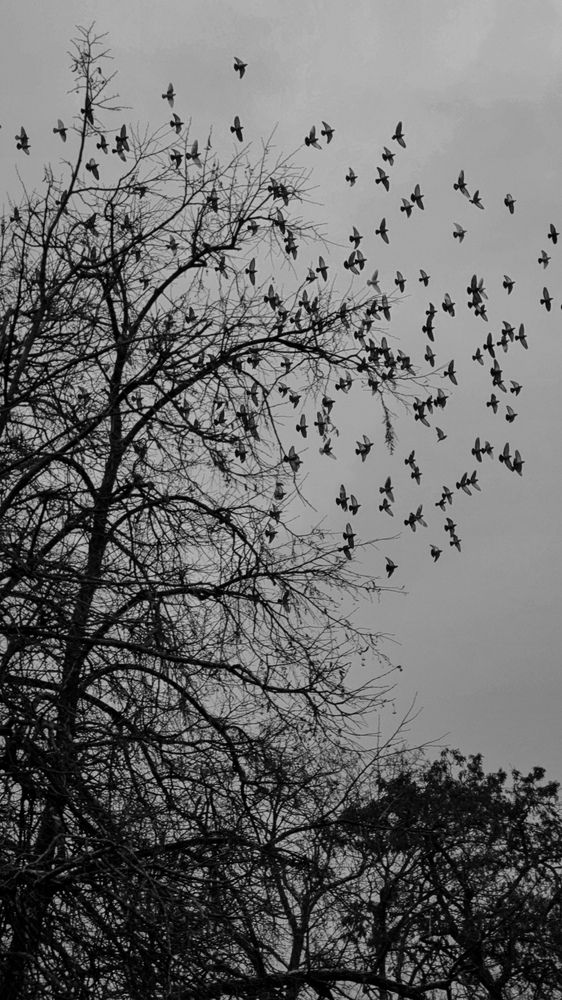 Фотография автора Ольга Рыняк