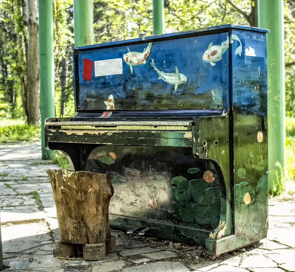 Фотография автора Марина Иванова