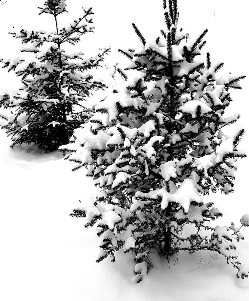 Photograph by Александра Пухкалова