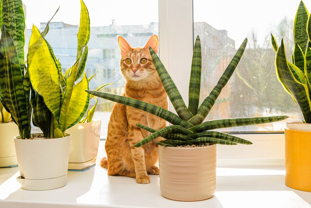 Photograph by Эдуард Шадров