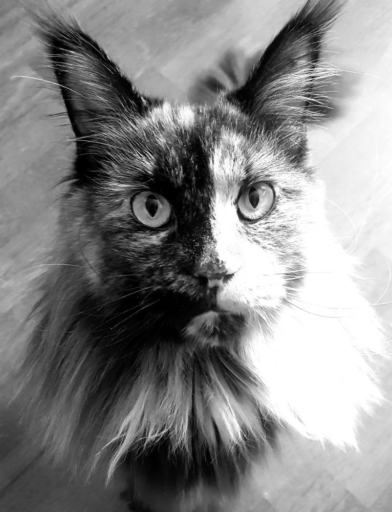 Photograph by Александра Пухкалова