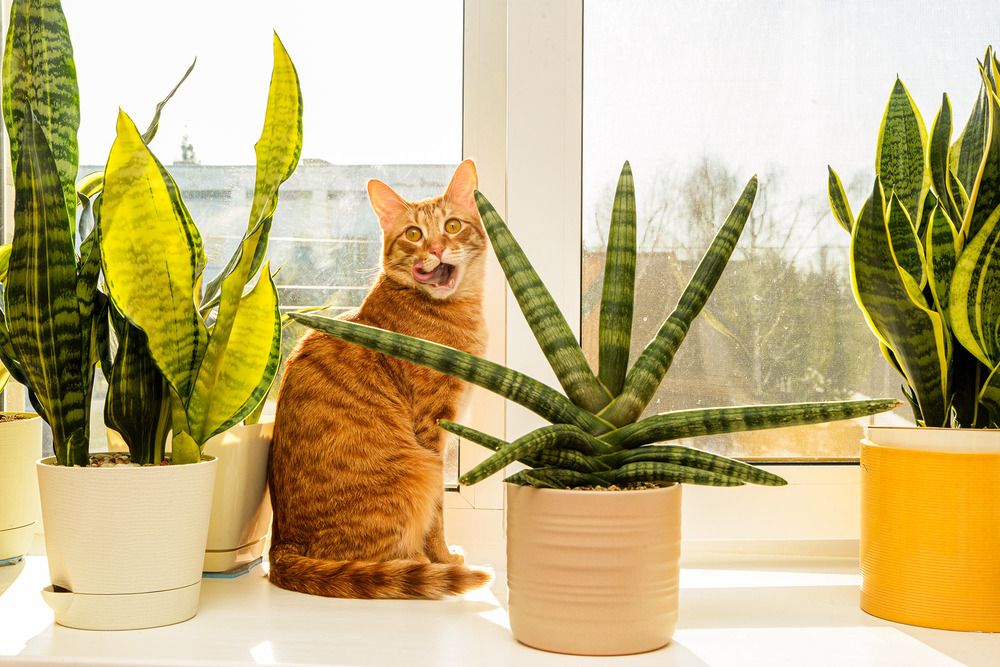 Photograph by Эдуард Шадров