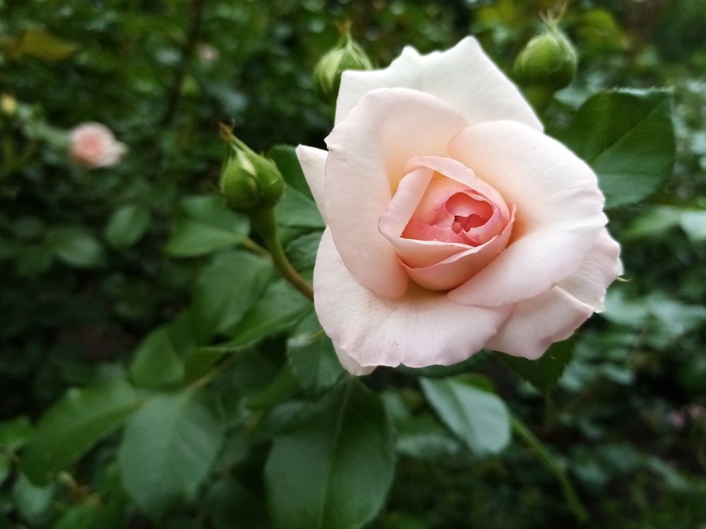 Фотография автора Наталья Визер