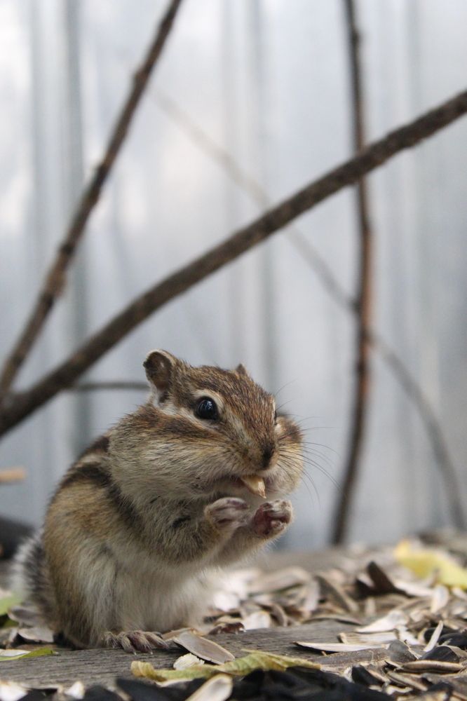 Photograph by Михаил Мархинин