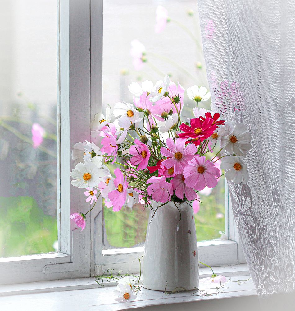 Photograph by Наталья Казанцева