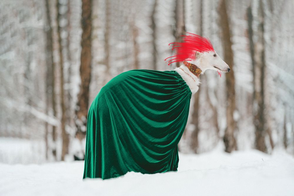 Photograph by Ольга Кушнарева